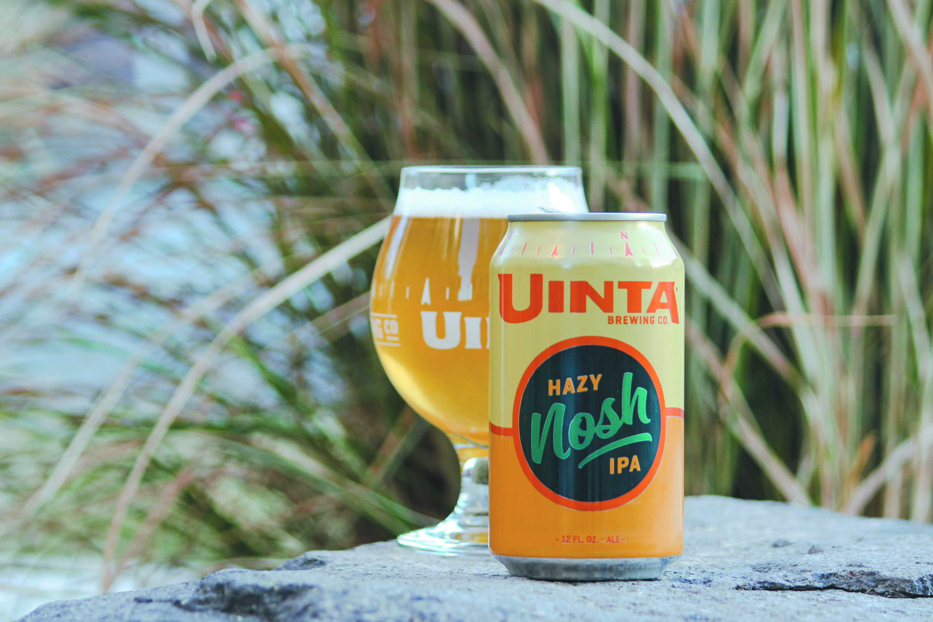“The hops for this beer were selected for their oil content and citrus-forward presentation,” says Patrick Keahey, Uinta Brewing Head R&D Brewer.
