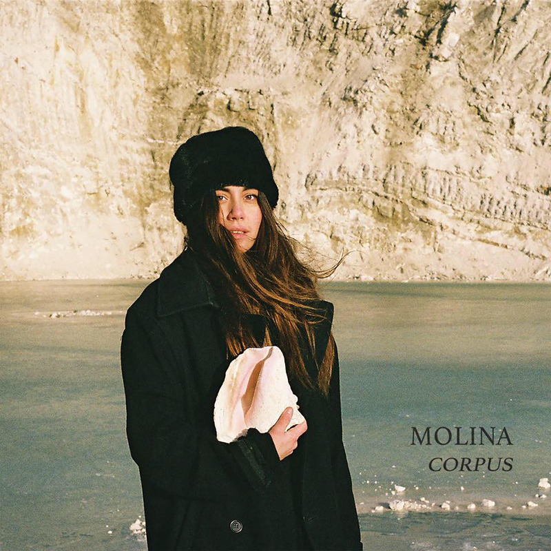 Molina | Corpus | Tambourhinoceros