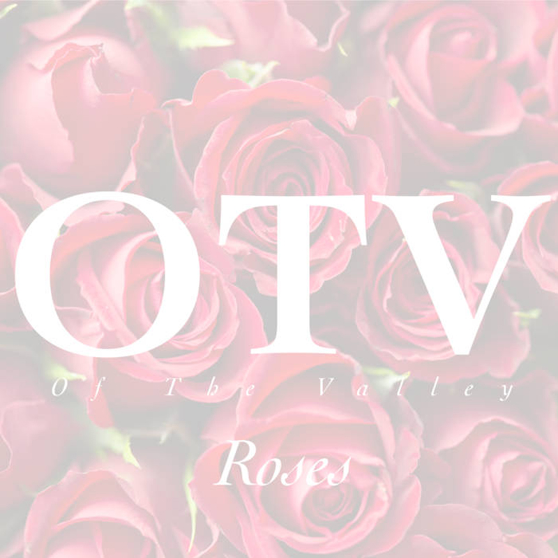 Of The Valley | Roses | Self-Released
