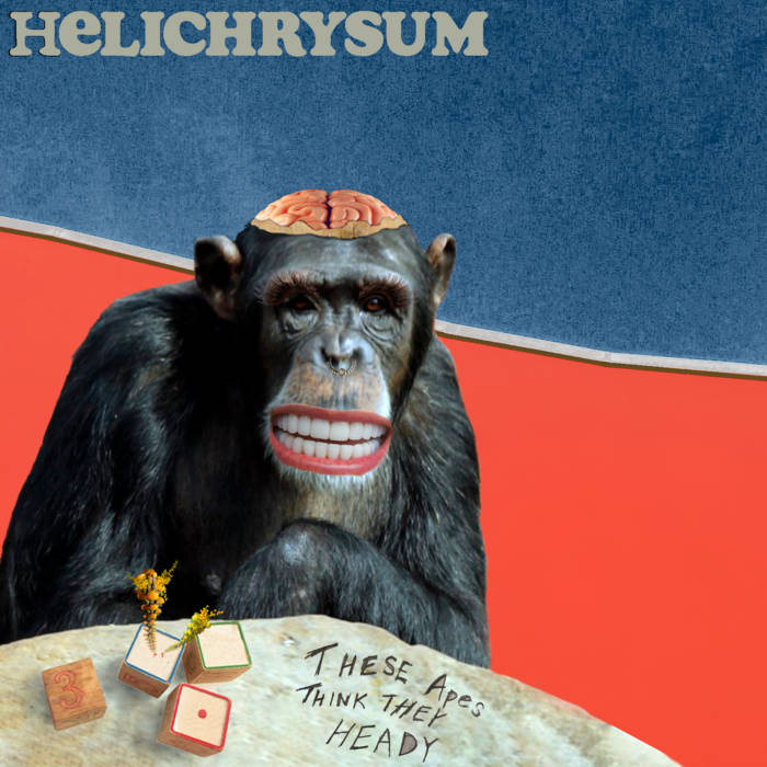 Helichrysum | The Apes Think They Heady | Self-Released