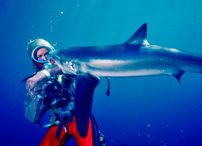 Playing with Sharks is so much more than just the latest cash grab on the subject—it' s a loving tribute to an extraordinary person. 