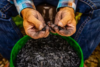 In simple terms, biochar is a refined charcoal product.