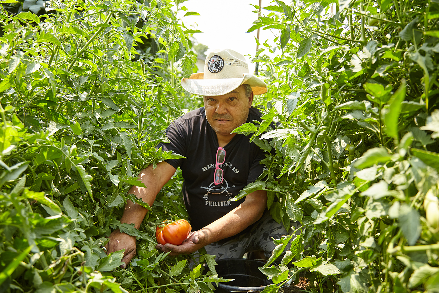 90.9FM KRCL’s Aldine Grossi, the Punk Rock Farmer, aims to galvanize our local community to grow “big F’n tomatoes”—or whatever you’d like to grow—in your own backyard.