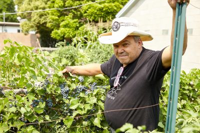 For Al Grossi, the ideas of farming and punk rock aren't all that different. 