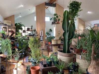 Thyme and Place serves as Salt Lake’s local plant boutique, with subtle hints of the city peeking through monstera leaves and cactus spikes.