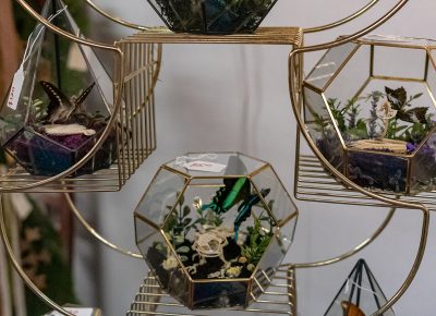 Unique and beautiful plant art from Flora Boneyard.
