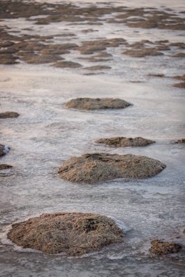 The lake relies on runoff to fill its shores and maintain a healthy salinity.