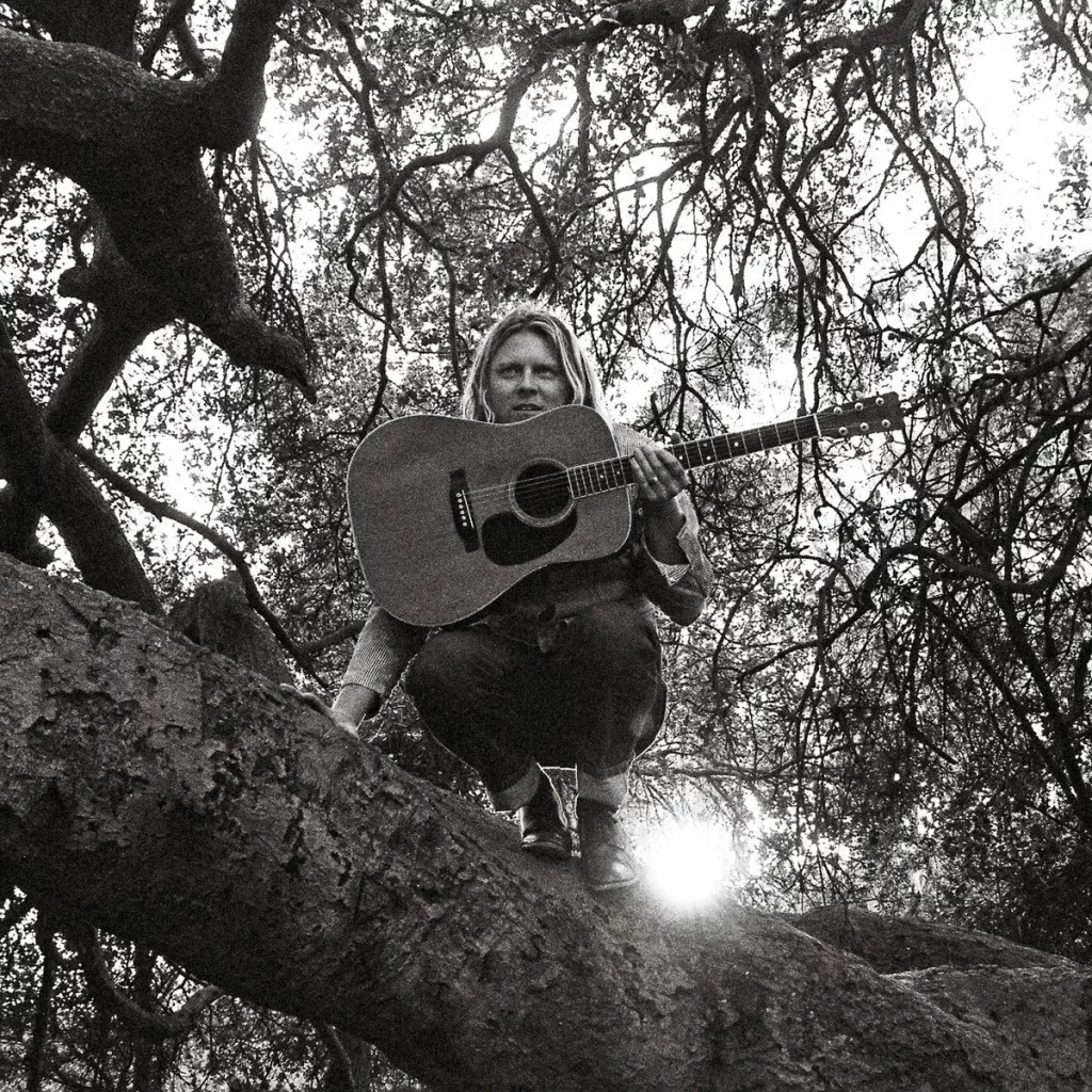 Review: Ty Segall – “Hello, Hi”