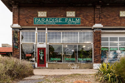 John Mueller began selling plants at Paradise Palm’s Sugarhouse storefront in 1998 then moved to the current location on Broadway after outgrowing the original.