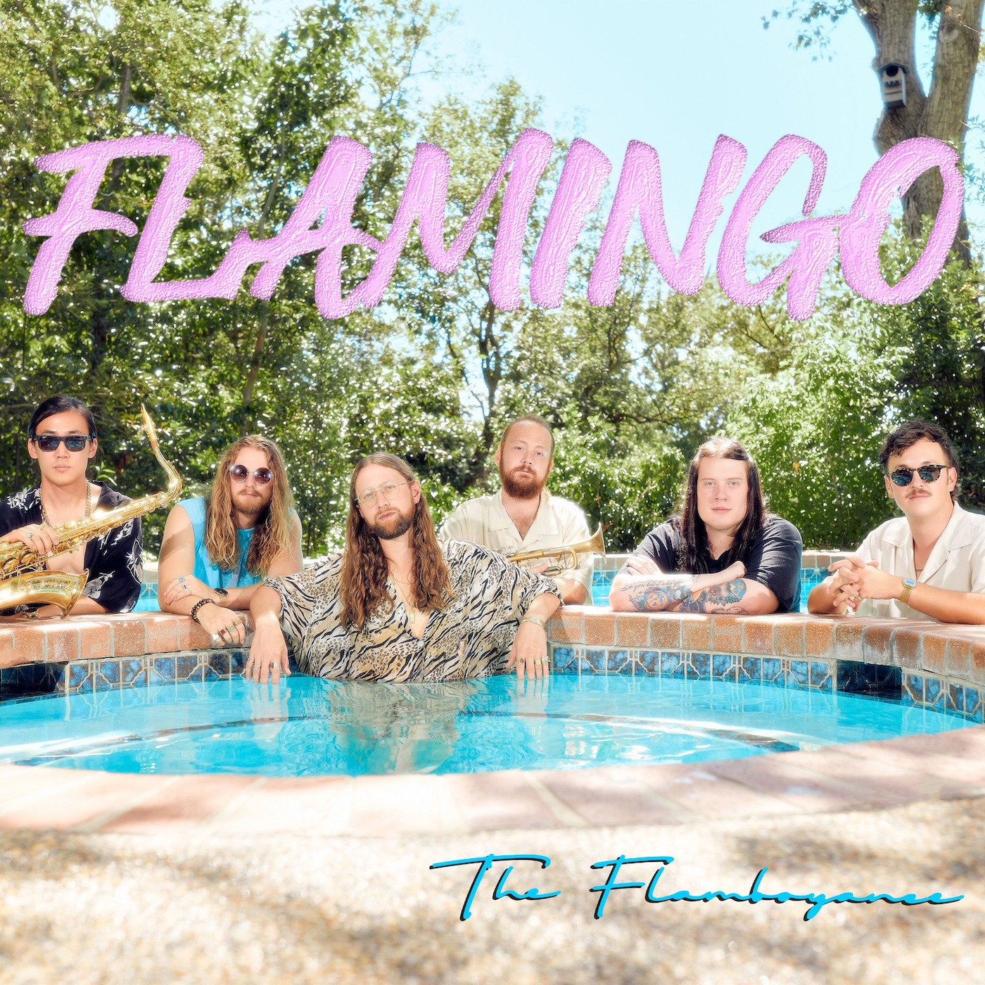 Flamingo | The Flamboyance | Self-Released