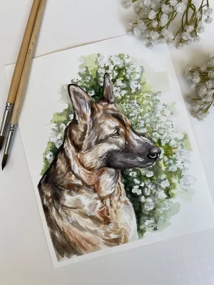 Watercolor pet portrait of a German shepherd.