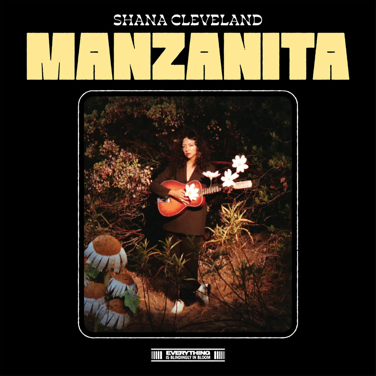 Shana Cleveland | Manzanita | Hardly Art