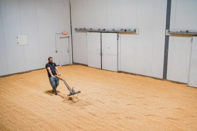 Weed floor malts a large batch of grain. Photo: @TBZDPhoto