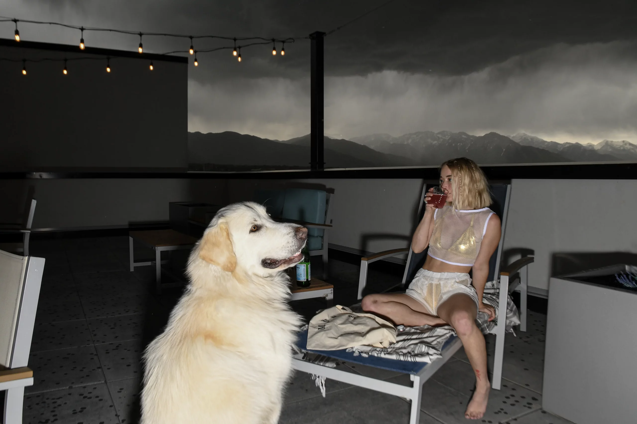 Image of a blonde woman wearing a mesh top, metallic gold bikini and white shorts drinking a cocktail on a chaise lounge. On her left is. large white dog.
