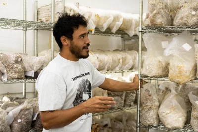 Adam Wong stands in a room full of bagged mushrooms at Intermountain Gourment Mushrooms. Photo: Dominic Jordon