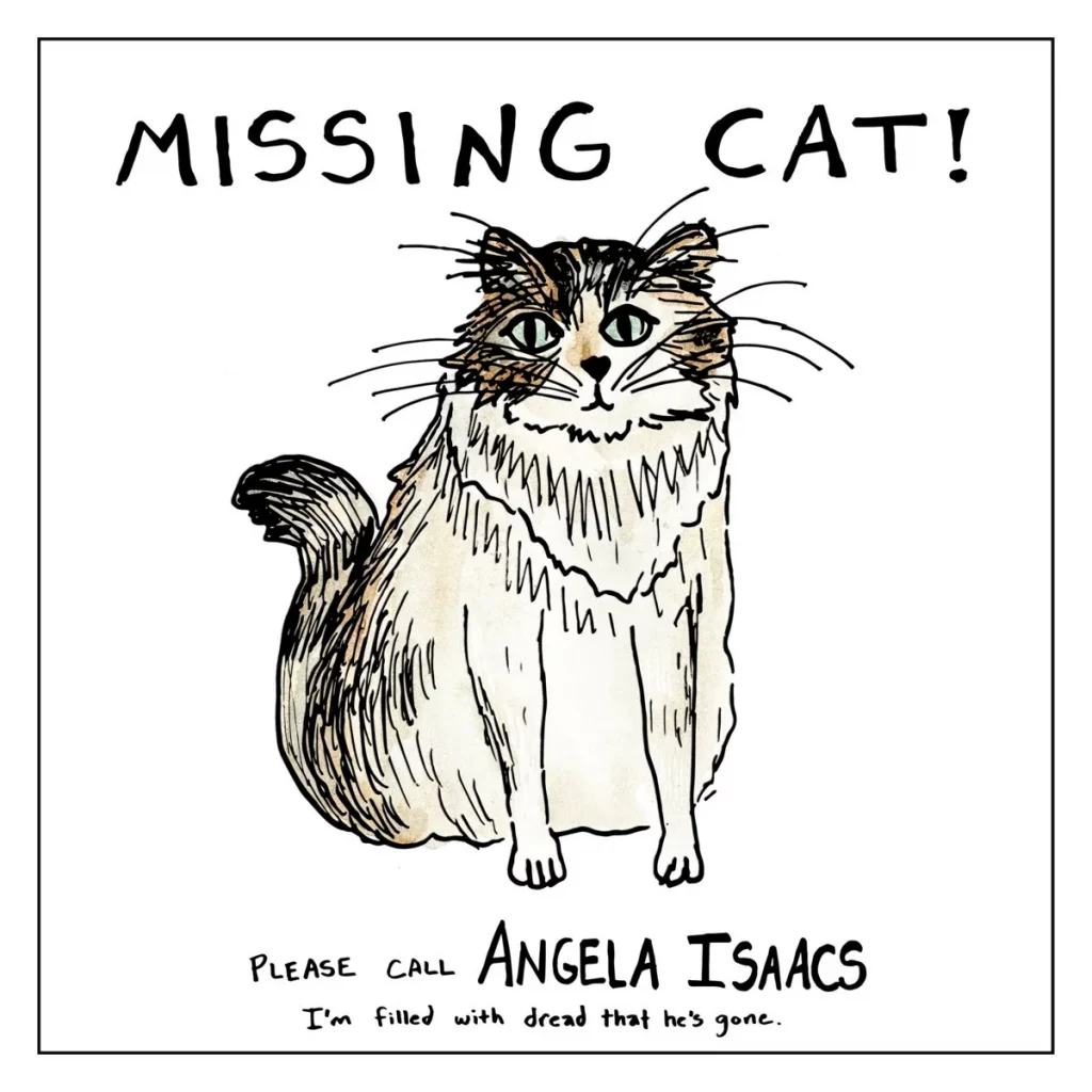 Local Review: Angela Isaacs – Missing Cat!