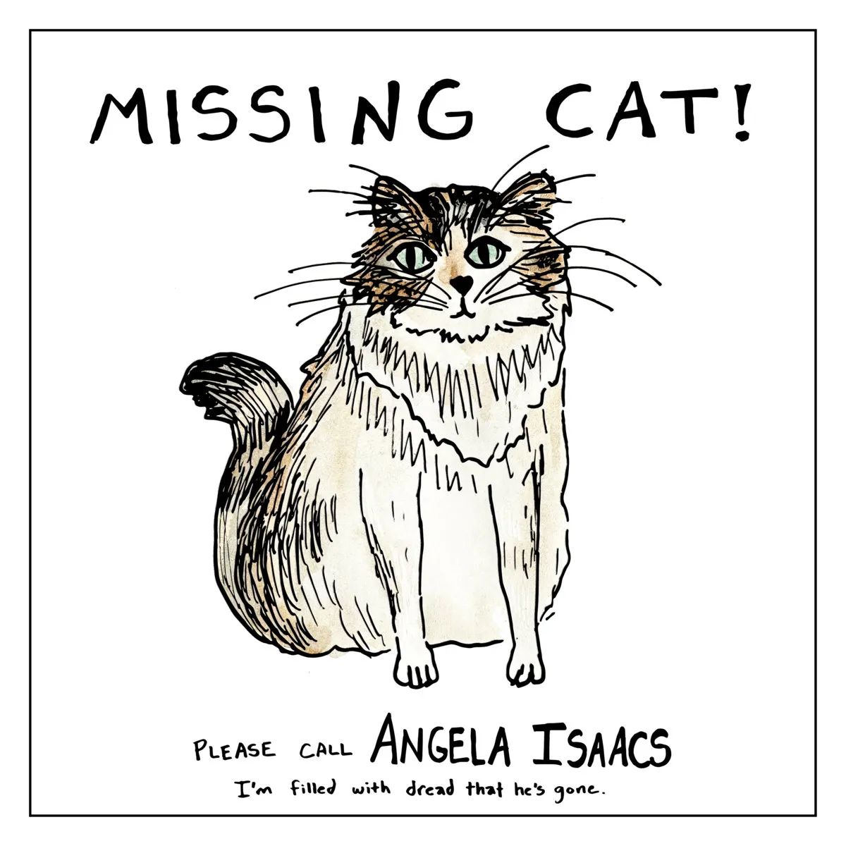 Missing Cat! is a humble collection of songs rooted in classic acoustic sound. Angela Isaacs doesn’t ask for publicity, but for listeners with a hefty vulnerability.
