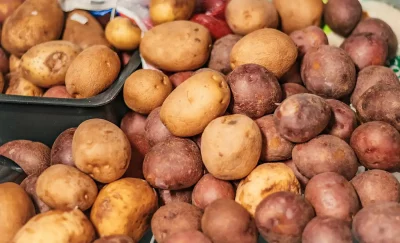 An abundance of potatoes at Waste Less Solutions. Photo: Ashley Christenson