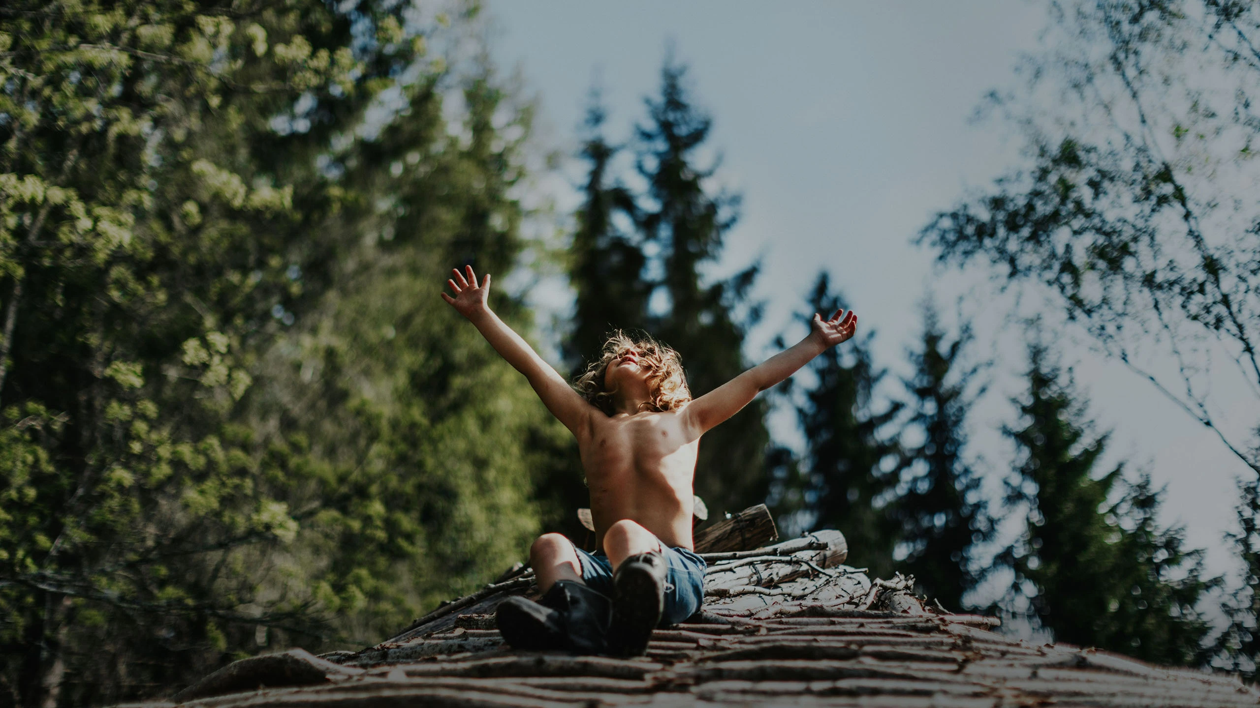 A child sits on a pile of wood in the forest, arms outstretched.
