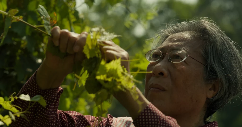A Coming-of-Old-Age Film: An Interview with the Director of Lan’s Garden