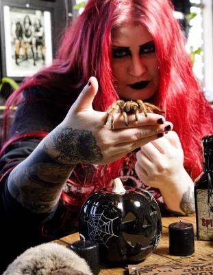 Ard holds a tarantula out towards the camera.