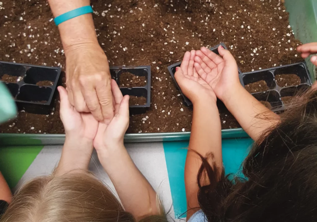 Kids hold seeds in their hands.