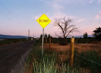 From the "Flora" series. Photo: Jillian Meyer.