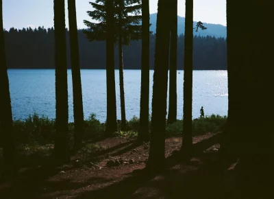 From the "Little People" series. Photo: Jillian Meyer.