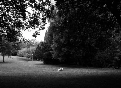 From the "Little People" series. Photo: Jillian Meyer.