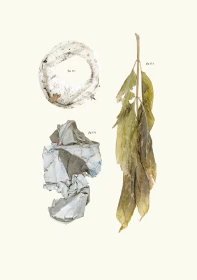 From “A Pictorial Atlas of Fossil Remains” by Carol Sogard.