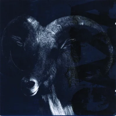 local band Gaza album cover