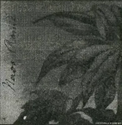 The album cover for Neros Rome's 1994 album Togetherly.