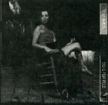 Cover of Tori Amos' album Boys for Pele.