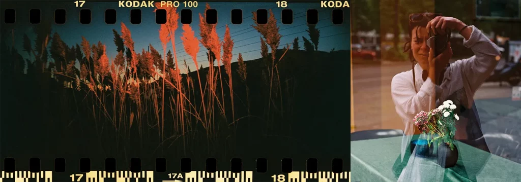 Playing with Scale: Jillian Meyer Sees People in Petals