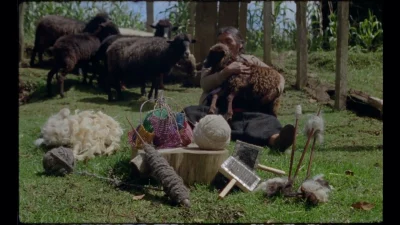 FilMéxico: Formas de Atravesar un Territorio, directed by Gabriela Domínguez Ruvalcaba