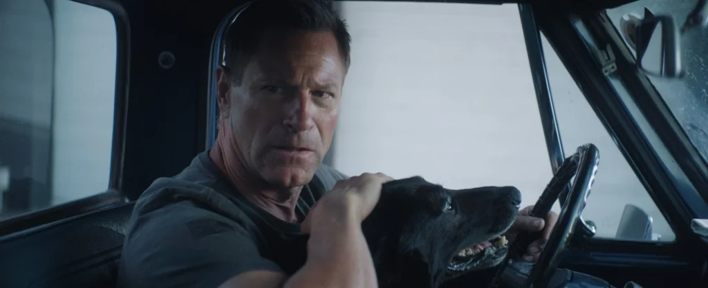 Aaron Eckhart Has Gone To The Dogs in Muzzle: City of Wolves