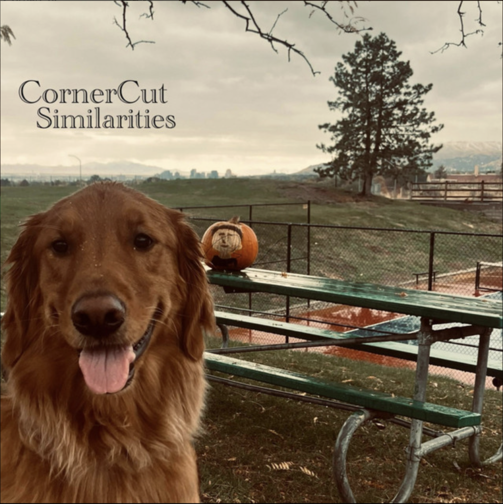 Local Review: CornerCut — Similarities