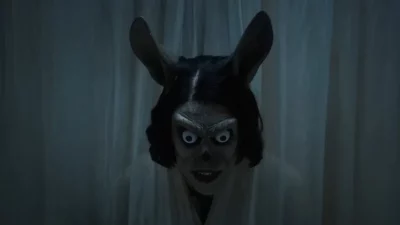A long-eared, big-eyed creature looking though a veil.