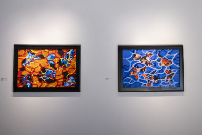 Art by Bianca Velasquez in her Prescribed Burn exhibition