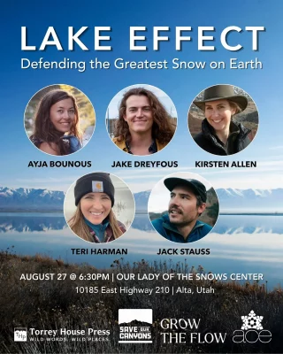 Flyer for Lake Effect event