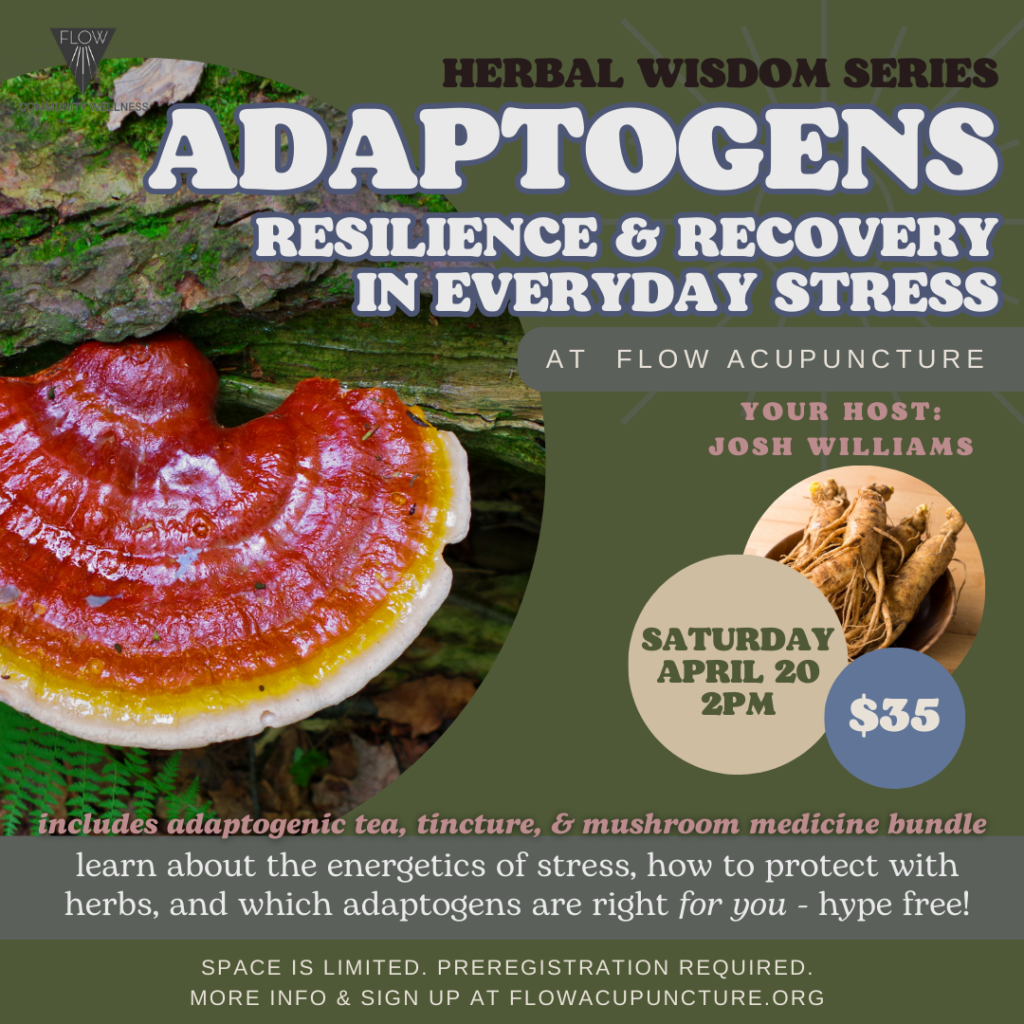 Adaptogens – Herbs for Stress, Resilience, & Protection