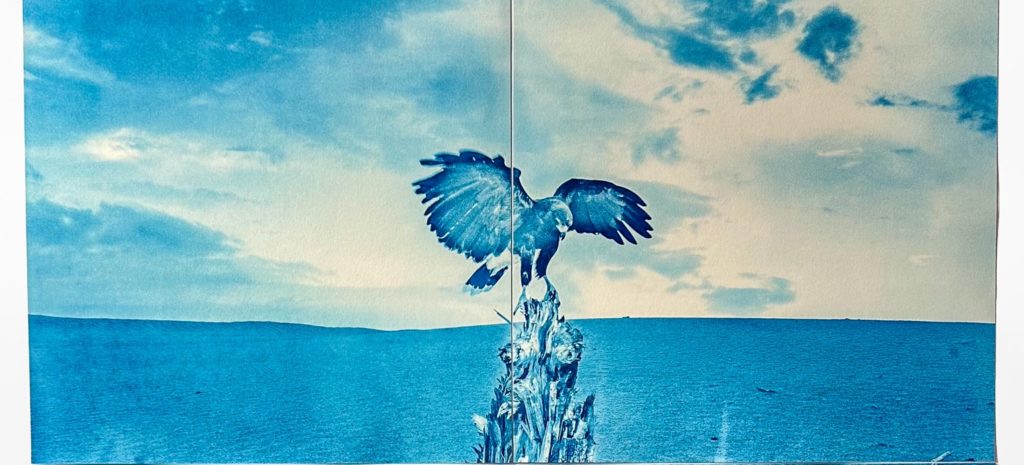 All Sketches Wish to Be Real Exhibition