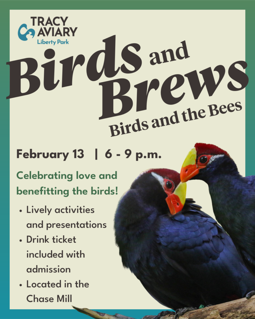Birds and Brews: The Birds and the Bees