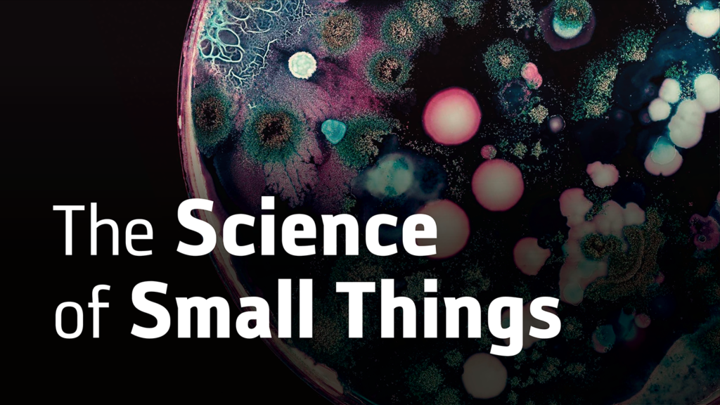 How Bacteria Talk to Each Other | Bonnie Bassler, Ph.D., Free Lecture