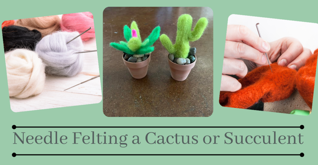 Felted Succulents, Plants or Cactus Class on April 29th from 6:00 to 8:00 (Taught by Stephanie, Classroom, $29)