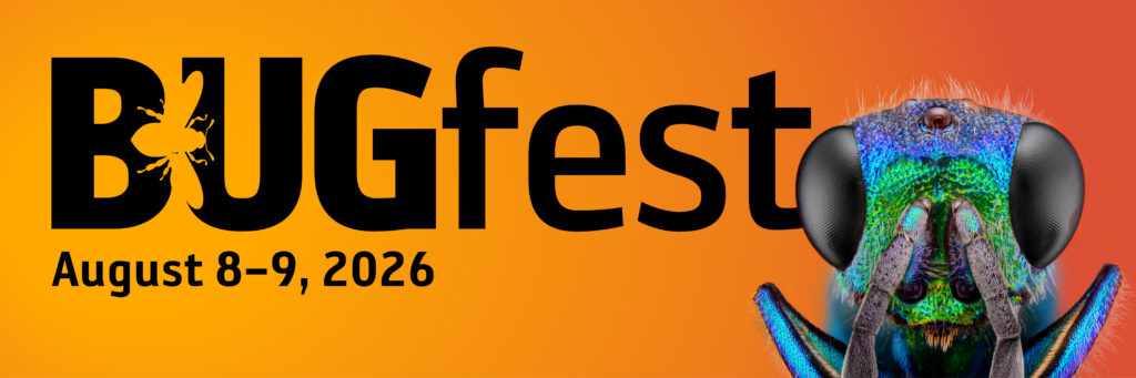 BugFest