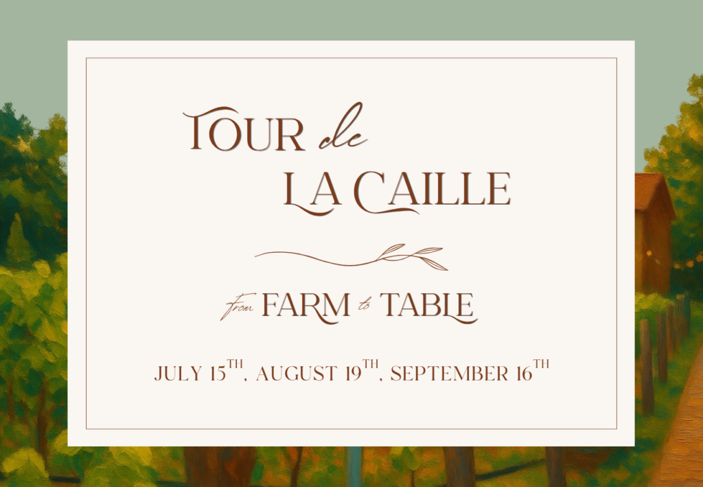 Tour de La Caille