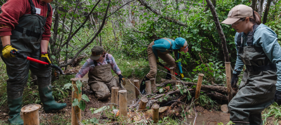 Riverscape Restoration Volunteer Events