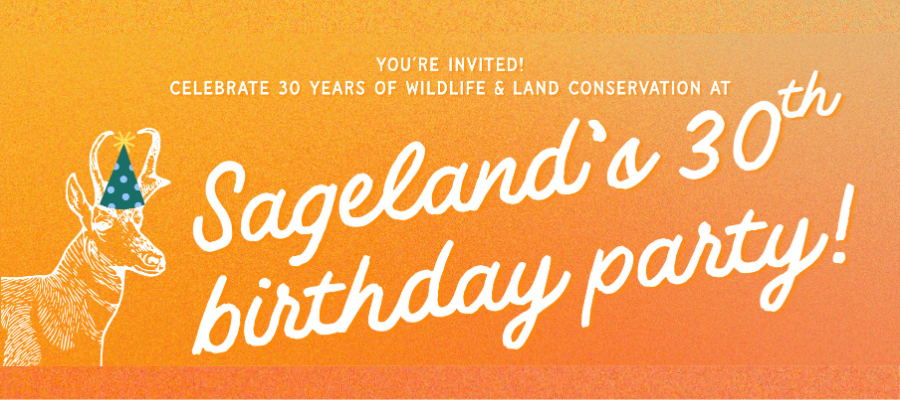 Sageland Collaborative’s 30th Anniversary Celebration