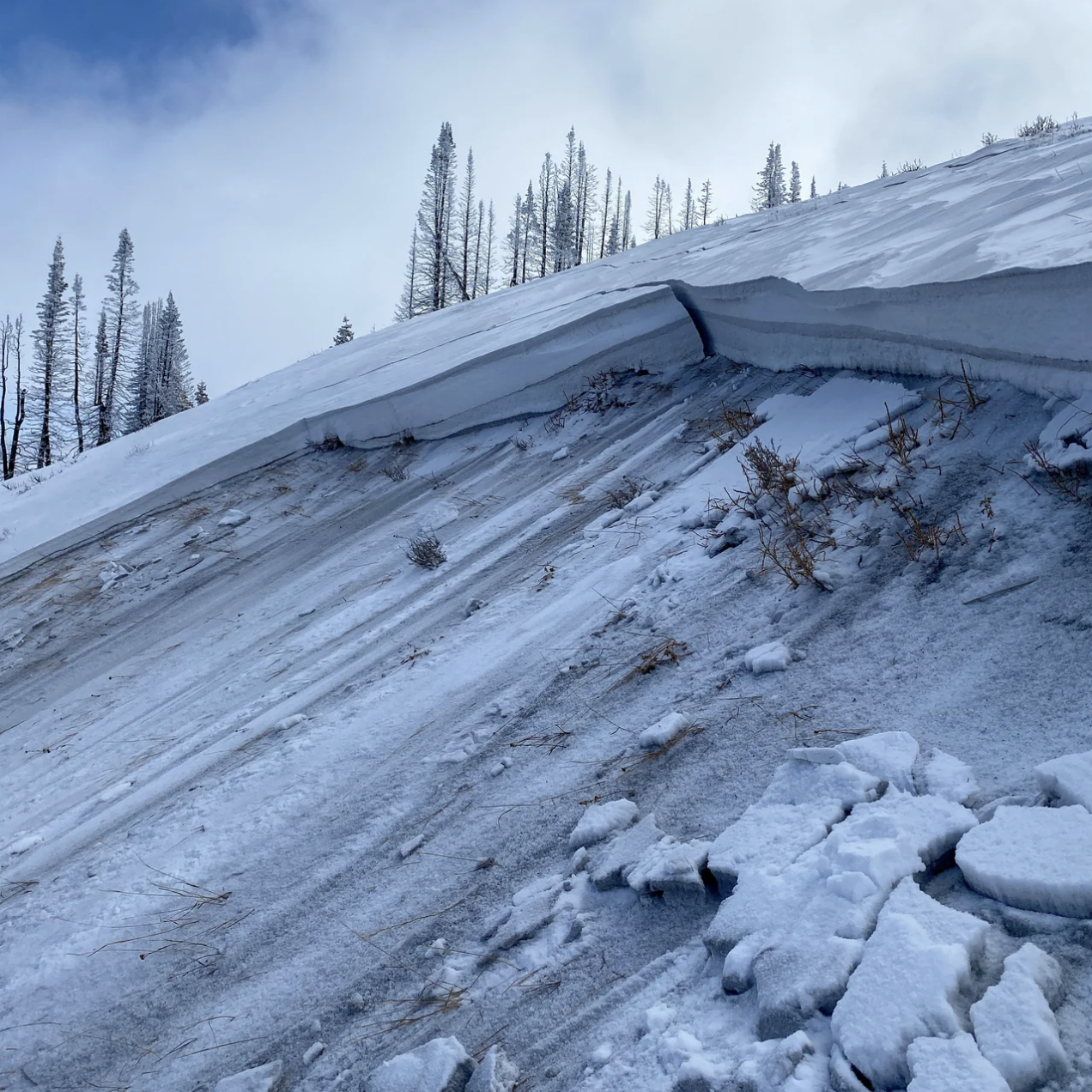 Utah Snow and Avalanche Workshop (USAW)